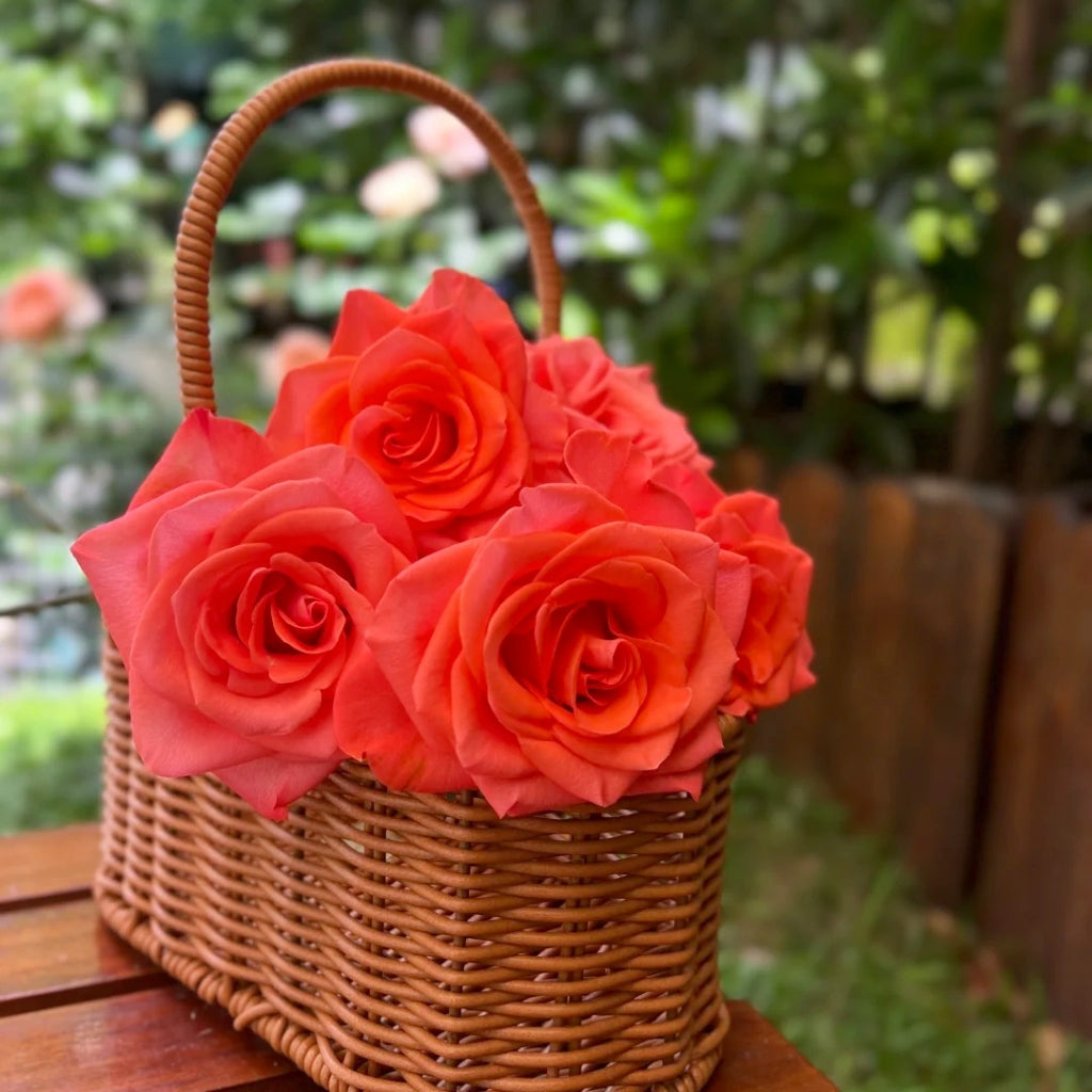 Wow! Rose