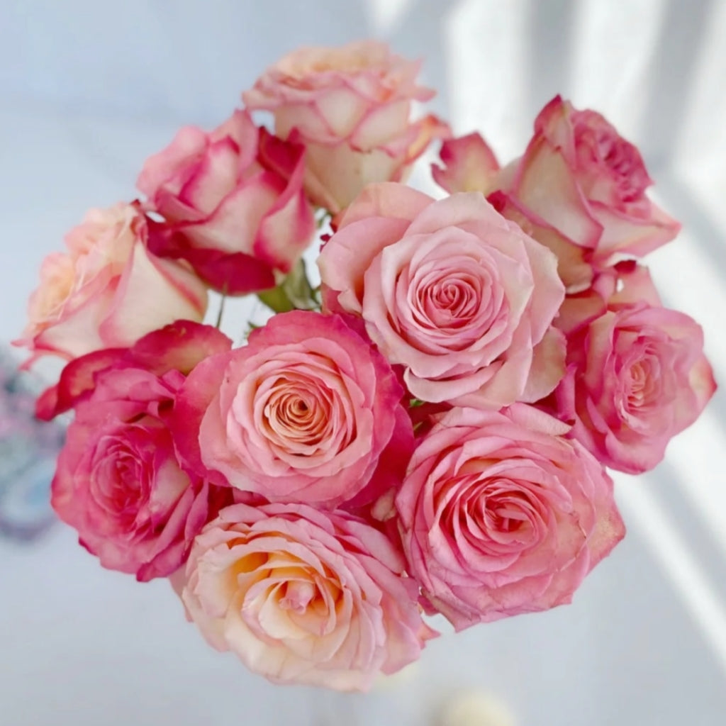 Xiaoxiang Rose