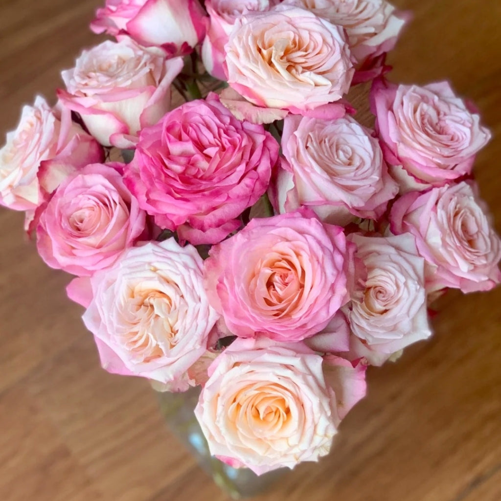Xiaoxiang Rose