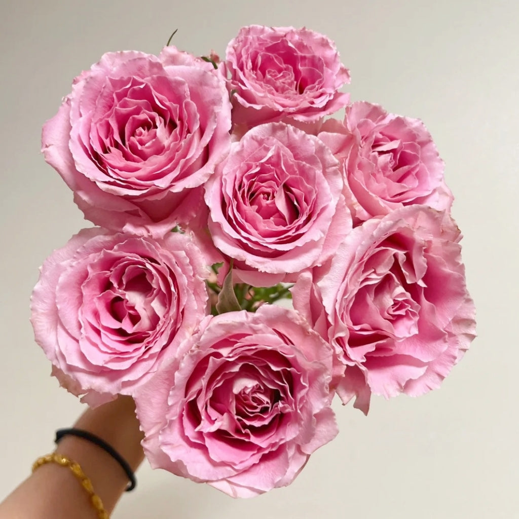 Xiyao Rose