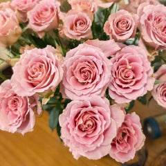 Xiyao Rose