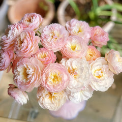 Youqing Rose