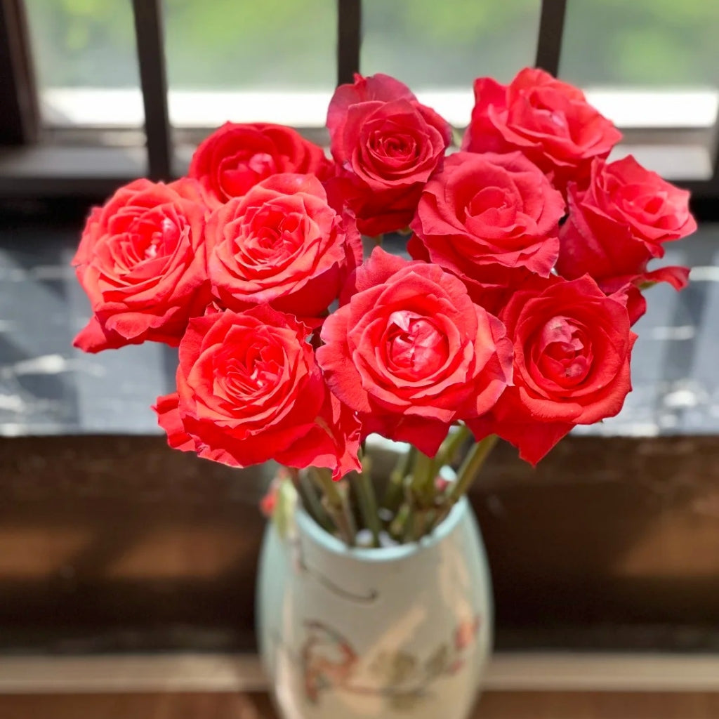 Yuhaitang Rose