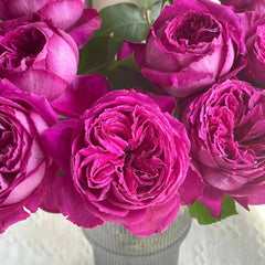 Yuji Rose
