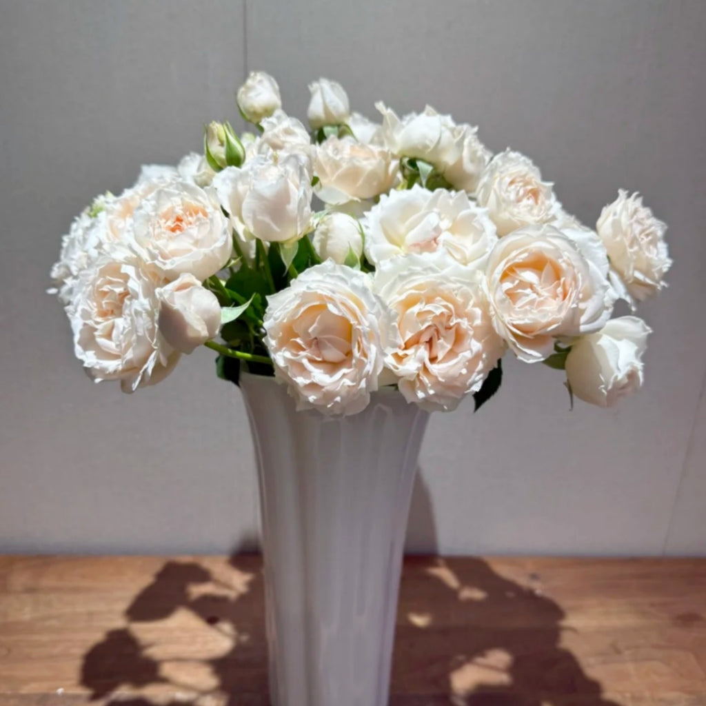 Yukiwatari Rose