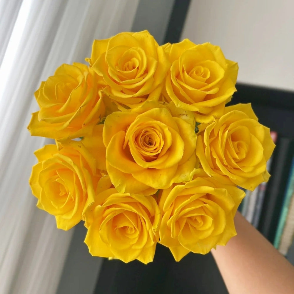 Zaoan Rose