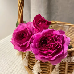 ZiRong Rose
